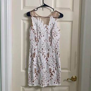 Lace and sheer nude mini dress